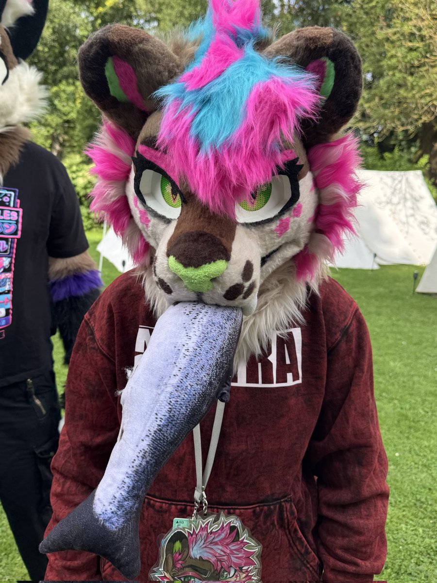 🌈✨ Ur local sparkledog Shiko ✨🌈 tweet media