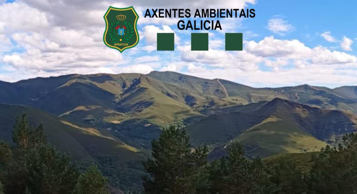 Hoxe é día de celebración para Axentes
Ambientais:

4 de outubro #SanFranciscoDeAsís

Patrón dos Forestais, día de lembranza e recoñecemento da vocación de protección da natureza deste corpo, e de todas e todos os profesionais que coidan do medio ambiente.

Feliz día! #AAMM