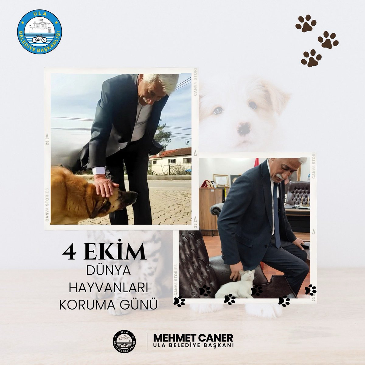 🐾 4 Ekim Dünya Hayvanları Koruma Günü Kutlu Olsun 🐾
Dünyayı paylaştığımız tüm canlı dostlarımızın yaşam hakkına saygı göstermek ve onları korumak hepimizin sorumluluğu. 🌍💚

Her canlının sevgiye, bakıma ve güvenli bir yaşama hakkı vardır.
Onları korumak, aslında geleceğimizi