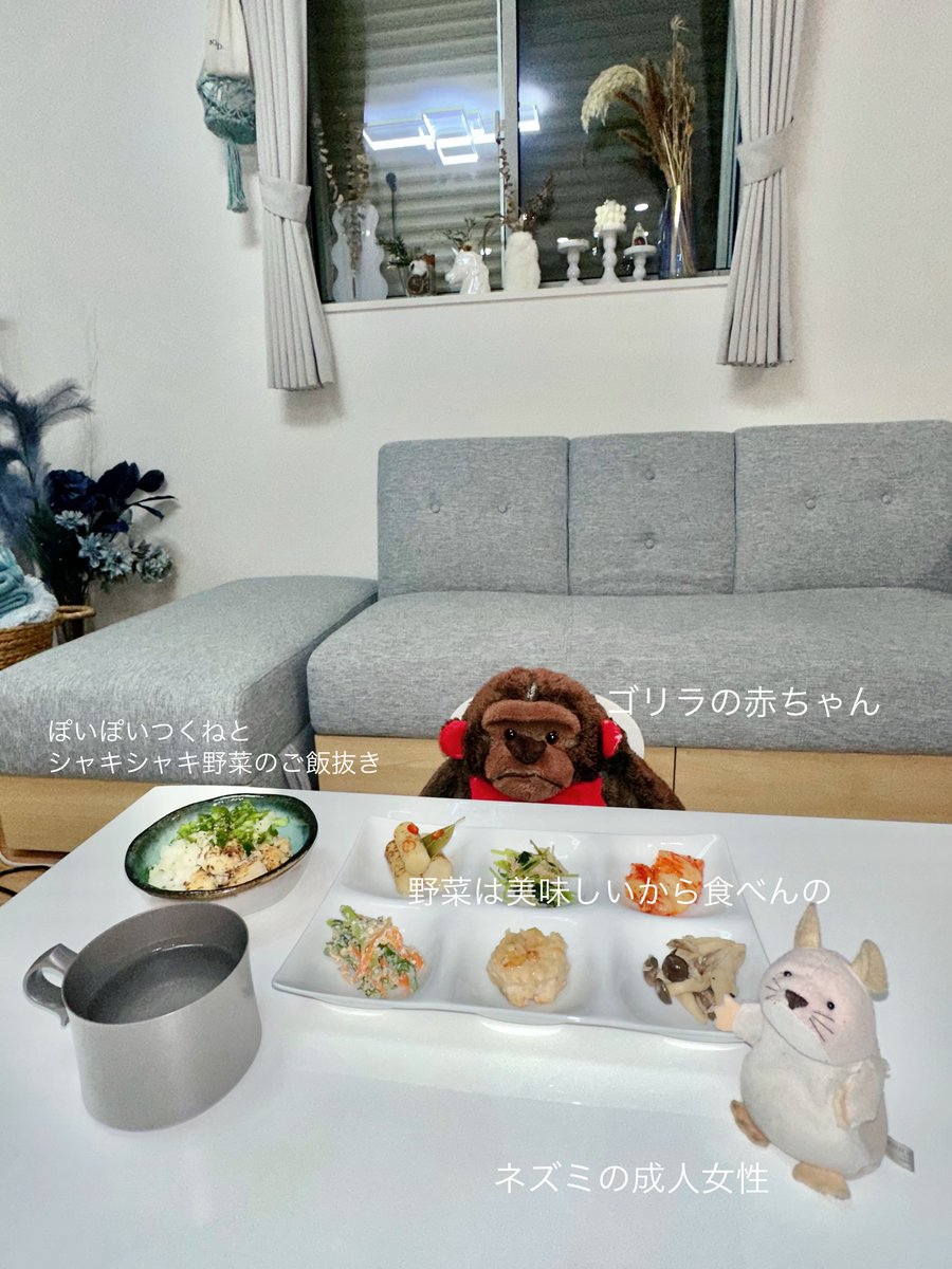 ネッピー・チーズ(本人) tweet media