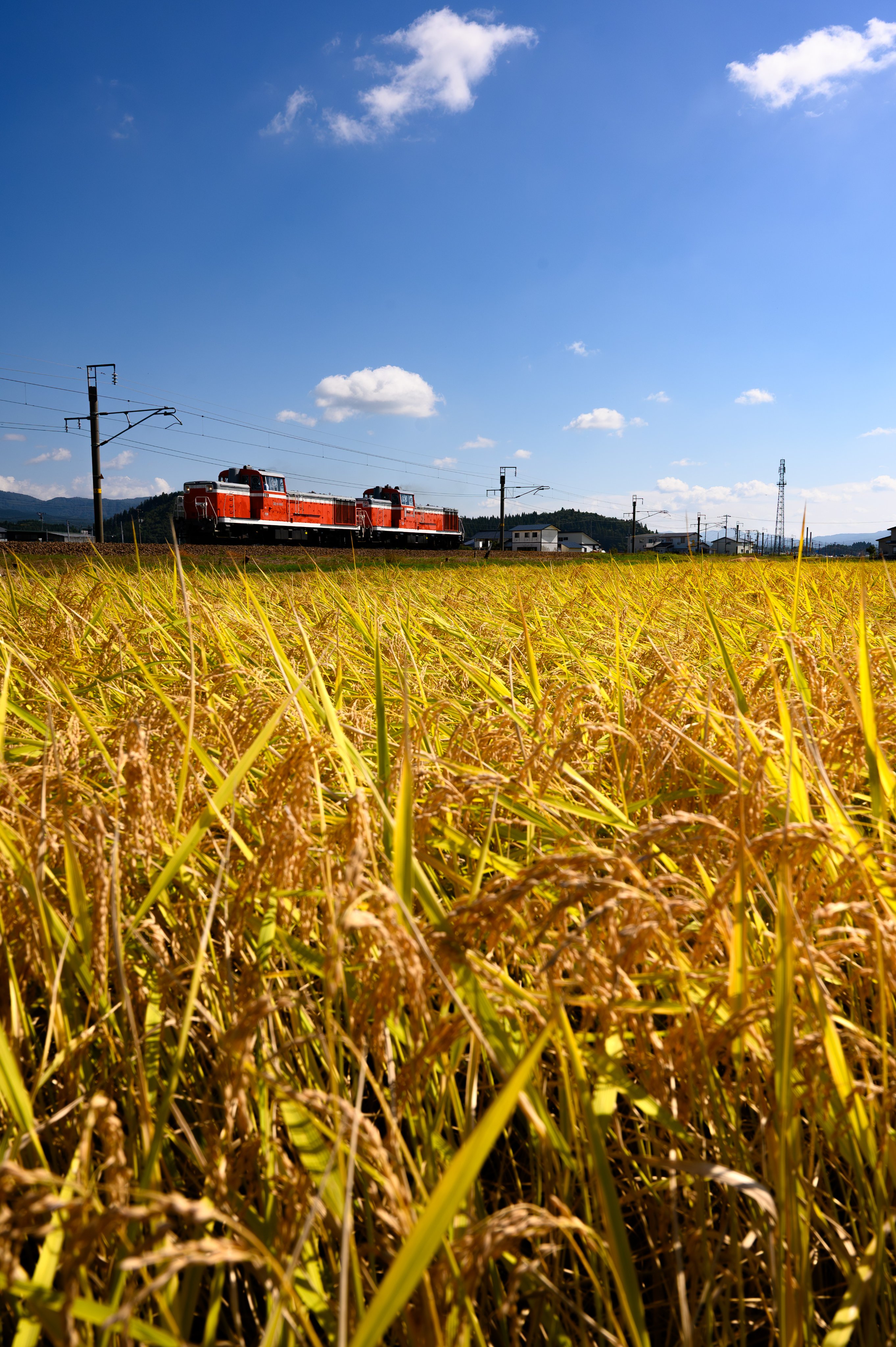るるぶ 1977年 特集新緑の東北 るるぶ 1977年 特集新緑の東北