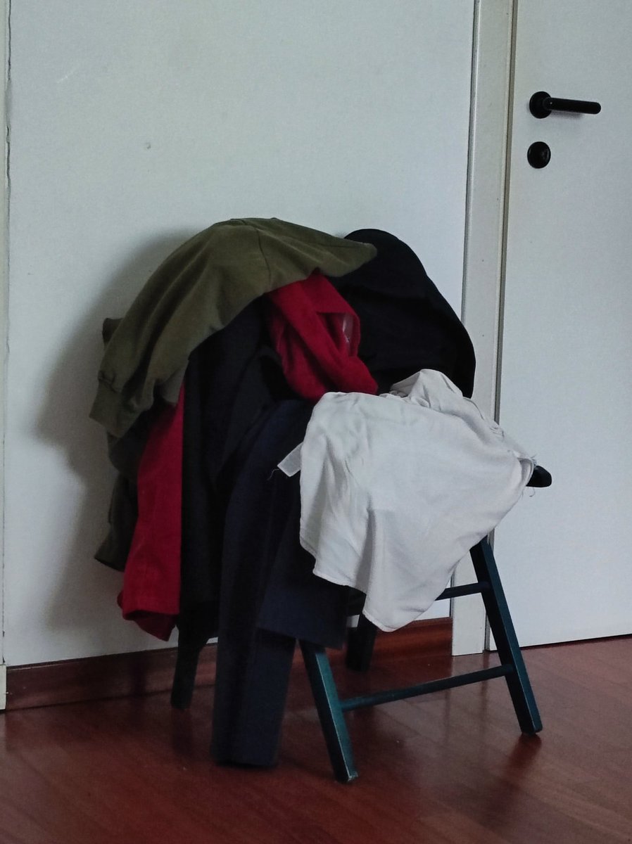 pure la mia sedia lo sa da che parte stare, she said free palestine