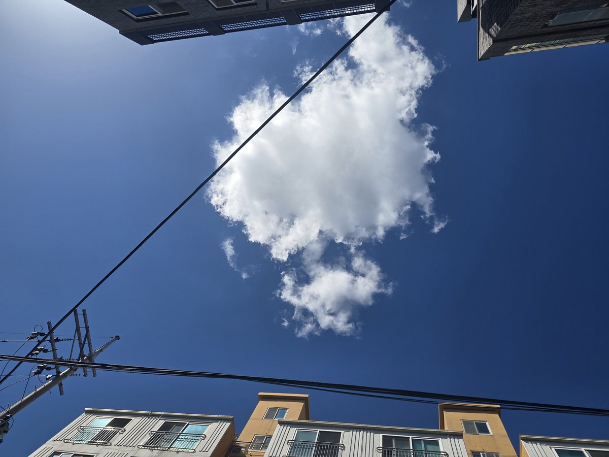 9시지만 행복해!
다들 즐거운 연휴 보내시고
맛나는거 잔뜩 드세요🥳
흐흐흐 기다려라 호박전 다죽엇다~