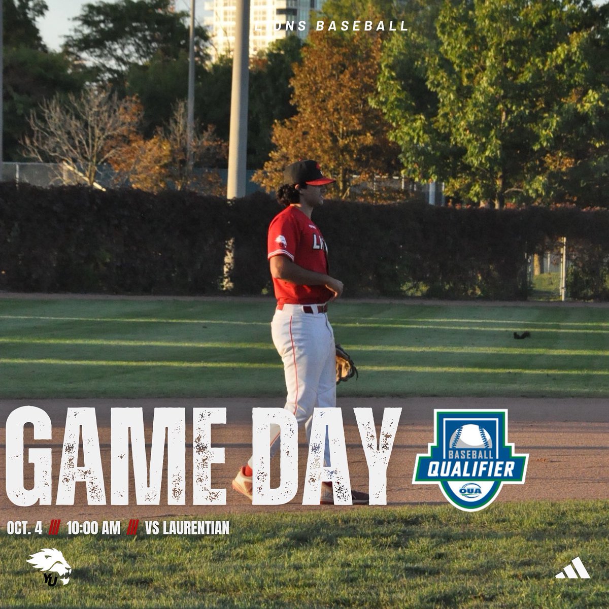 York Lions Baseball tweet media
