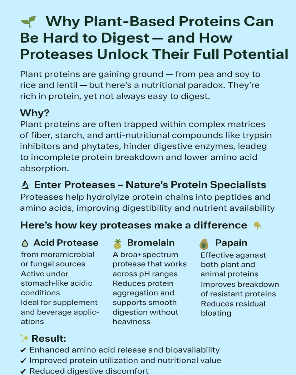 CatalexBio's tweet photo. Plant proteins = sustainable ✅ but not always digestible ❌
Anti-nutritional compounds (trypsin inhibitors, phytates) block absorption.
Proteases like acid protease, bromelain & papain unlock better amino acid release & smoother digestion.
#PlantProtein #Protease https://t.co/VUfqxVjLx4