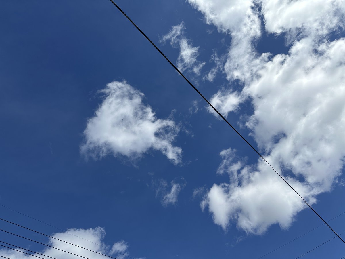 『There is nothing that divides the sky.』
空を分かつものは存在しない。

それは空が概念に過ぎないからだ。

物体で確かに構成されている概念。

そんなよく分からない物が僕らの頭の上にどこまでも広がっている。

だからこそもっと青くなってもいいんだとさ。

#詩 
#キリトリセカイ 
#龍の便箋