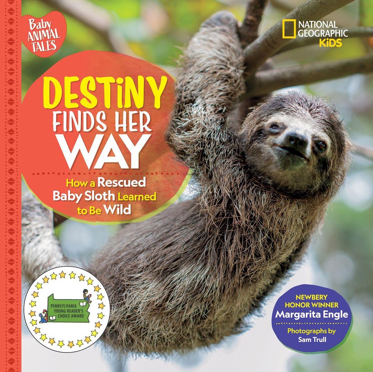 margaritapoet's tweet photo. Happy World Animal Day! 🌎🦥
#WorldAnimalDay2025 #animalbooks #biodiversity #wildlife #Cubabooks #CostaRica #childrensbook #poetry #poesía #sloths https://t.co/lRdQcxCFsD