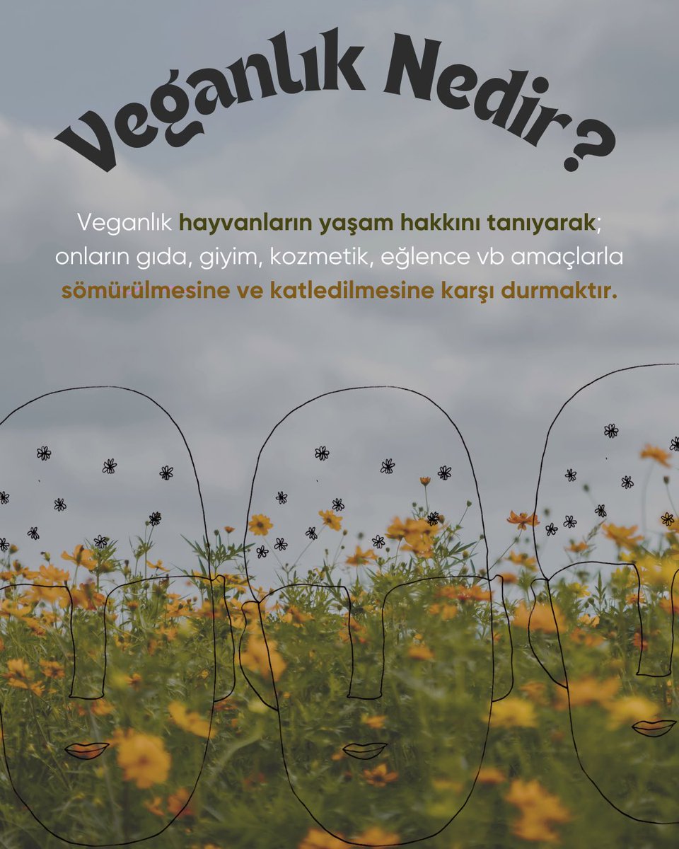 Lambdaistanbul LGBTİ+ Dayanışma Derneği tweet media