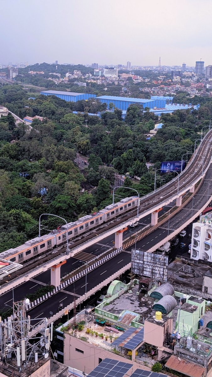 Nagpur is quite something after the rains!