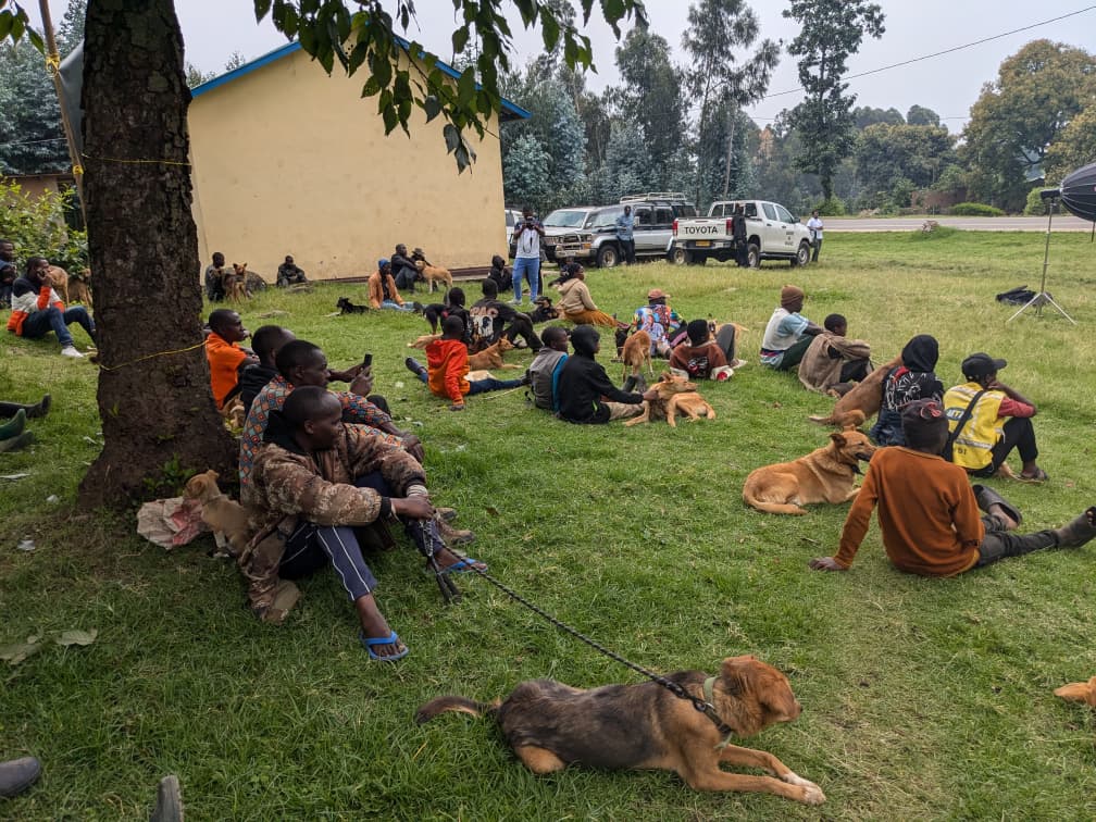 Joel ITANGIRUBUNTU,DVM tweet media