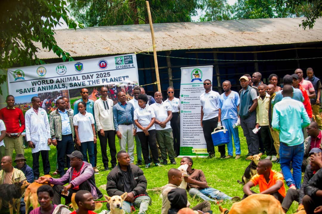 Joel ITANGIRUBUNTU,DVM tweet media