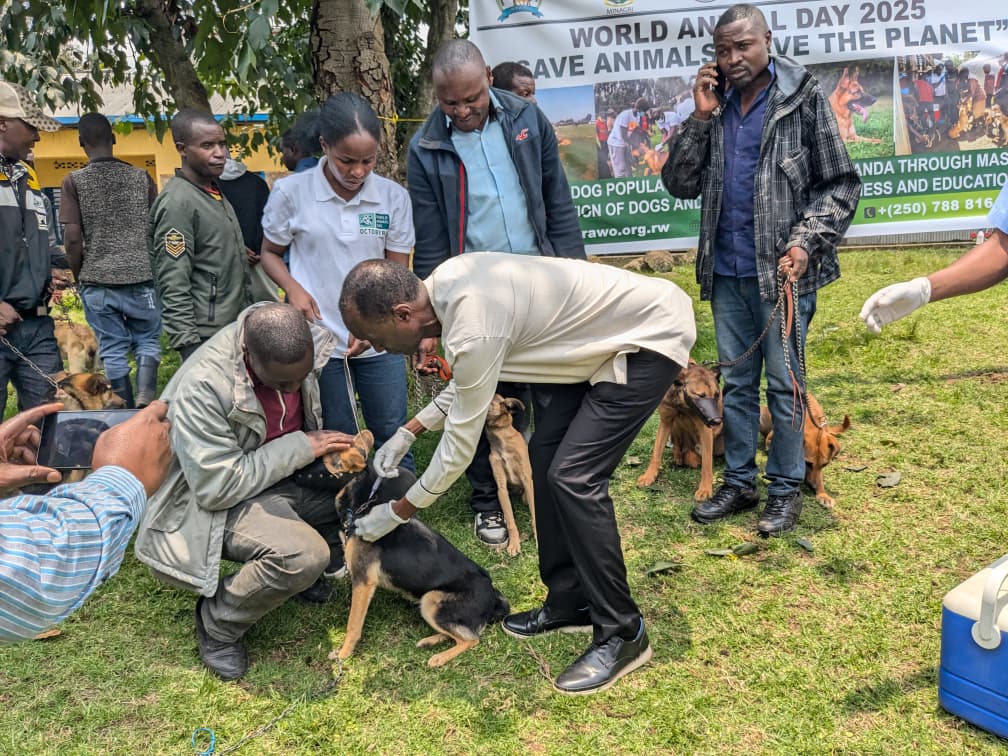 Joel ITANGIRUBUNTU,DVM tweet media