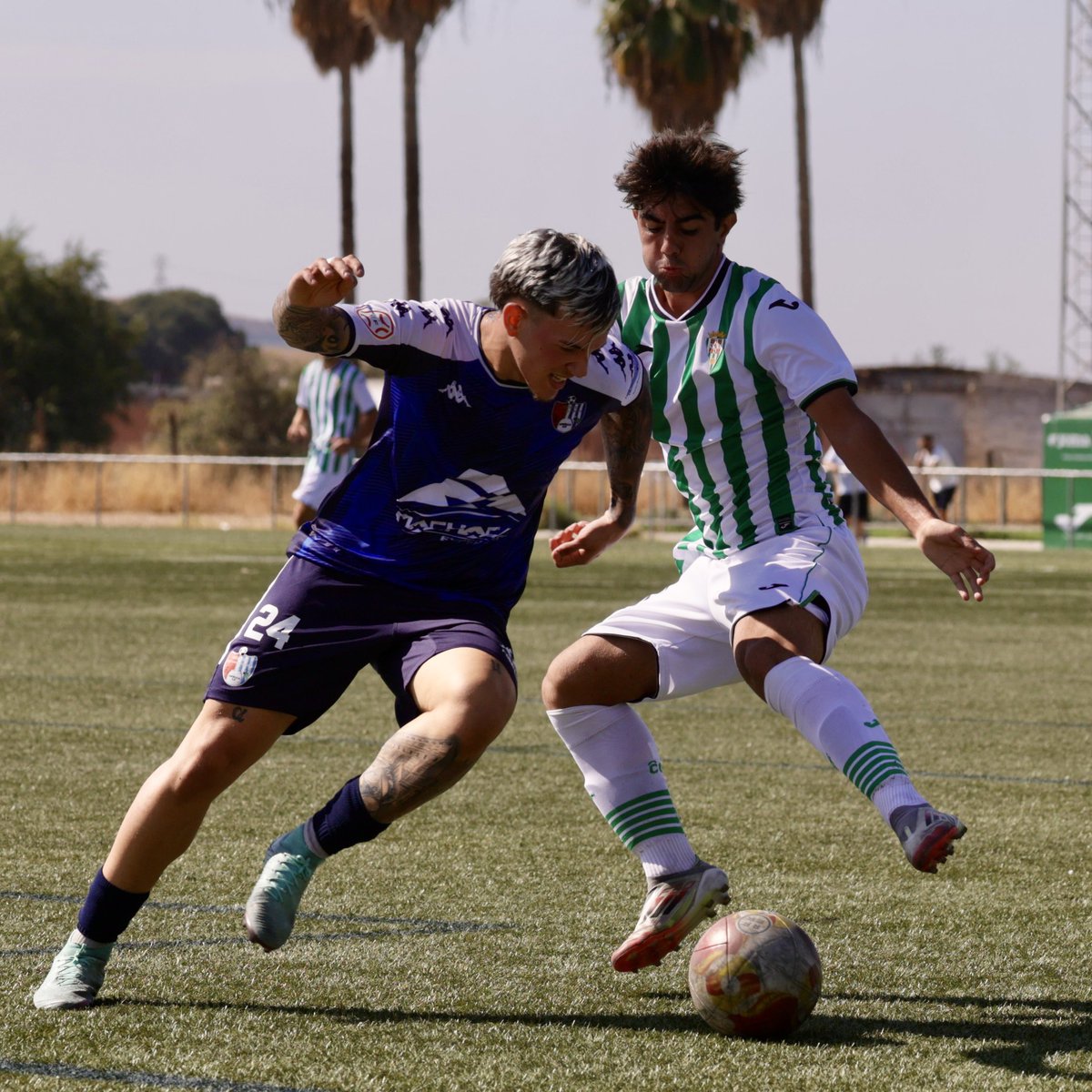 Cantera_CCF's tweet image. 🏆 División de Honor Juvenil  
🆚 #JuvenilACCF 4 - Arenas de Armilla 1

⚽️ Aranda 
⚽️⚽️ Coca
⚽️ Jesús Zamora 

💚 #CanteraCCF