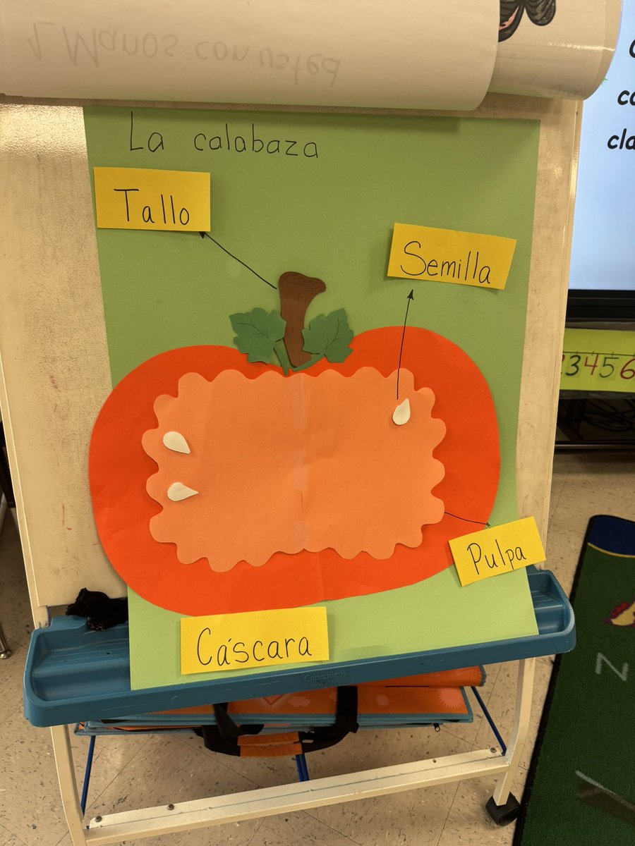 Students in Mrs. Diaz &amp; Mrs. Frazier’s DLI Kinder class mastered standard RI.K.4 by learning about the life cycle of a pumpkin. They applied what they learned by carving a pumpkin &amp; created mixed media art diagrams. #realworldconnections #studentengagement #artsintegration #wsfcs
