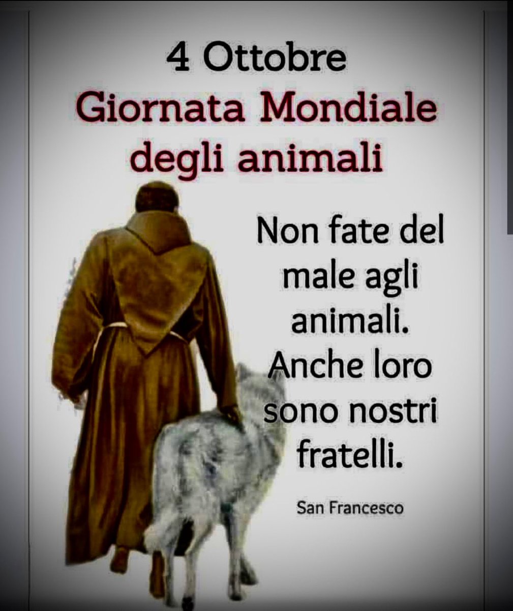pobbiati's tweet photo. …🐾 https://t.co/30FCFTTv9w