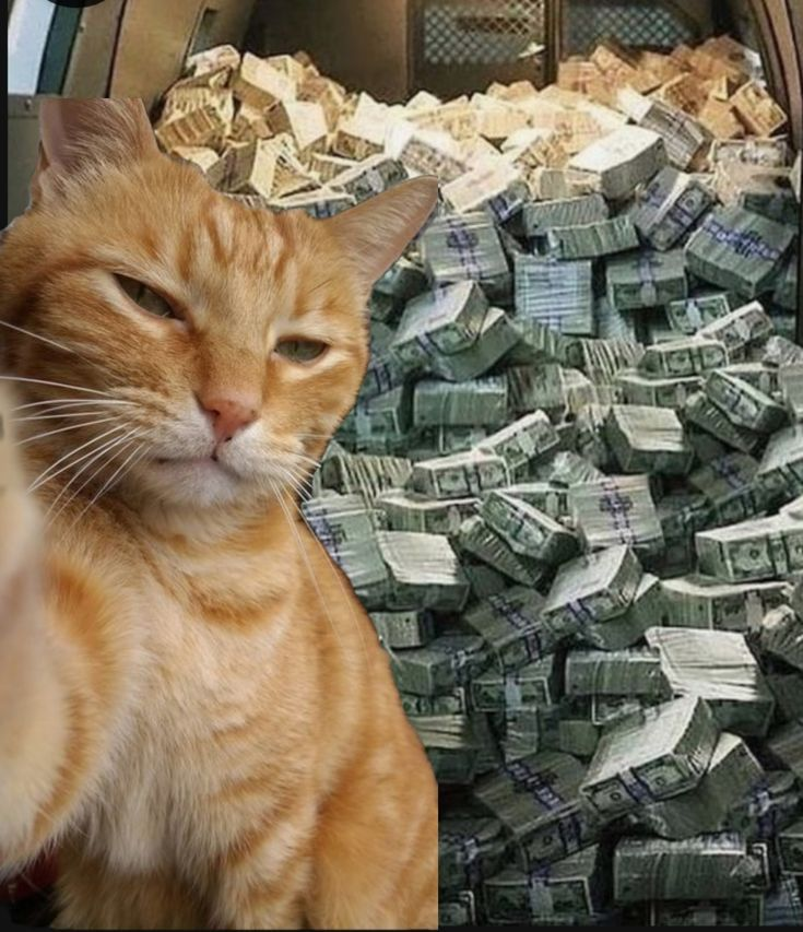 Baraa🐱 (@braauwu) on Twitter photo 