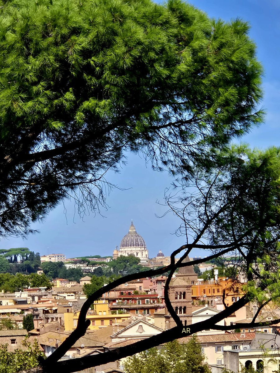 PerpetuumAle's tweet image. Poi dici che uno si innamora.