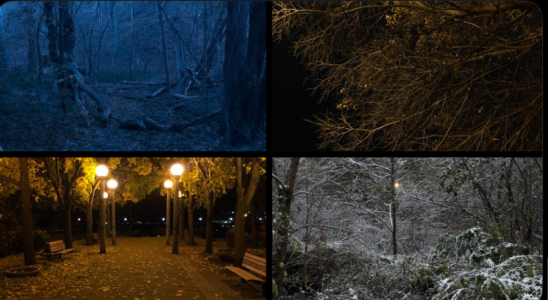 MatthewCarvalh1's tweet photo. Pictures from my walk around town during fall and winter. These times were magical https://t.co/oXVAHaYAOF