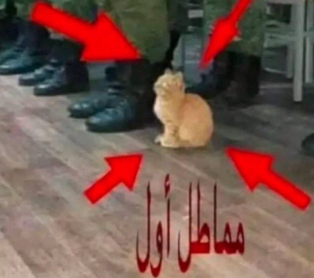 انا لاني احب أجل عمل اليوم الى الغد