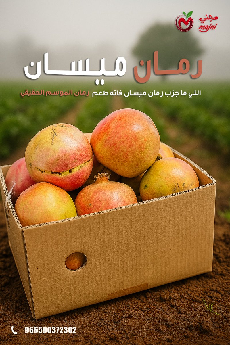 majny_althimar's tweet photo. اللي ما جرّب رمان ميسان… فاته رمان الموسم 🍎✨
#رمان_ميسان #فاكهة_الموسم #طازج #السعودية #الطائف https://t.co/4zAu45Wt5q