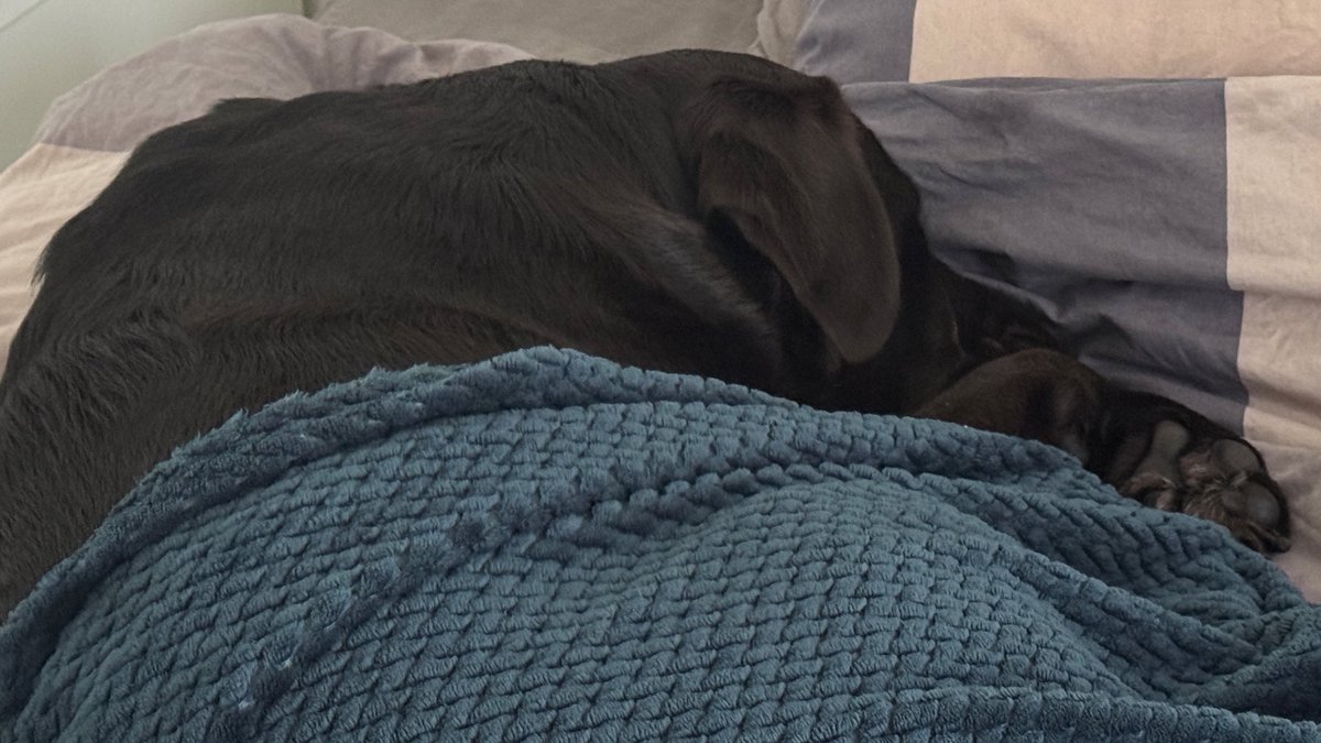 Ligt ie dan. Snurkende.