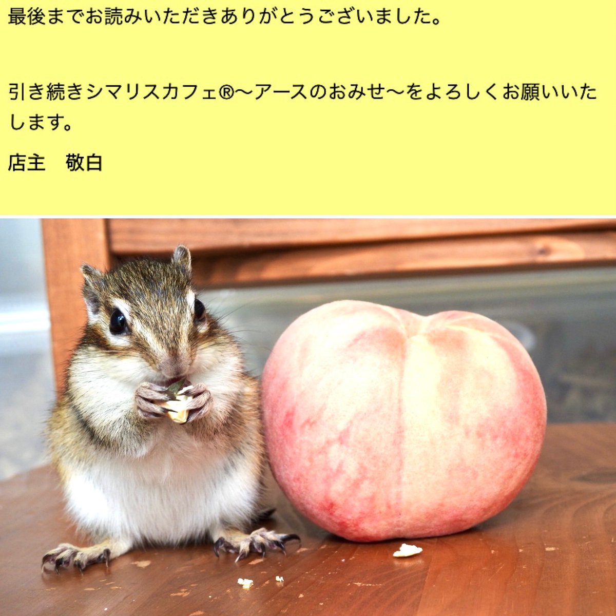 chipmunk_earth's tweet photo. そもそも業の深い商売ですし、
きっとキレイゴトだと思われますが。 https://t.co/2twge24Rv5