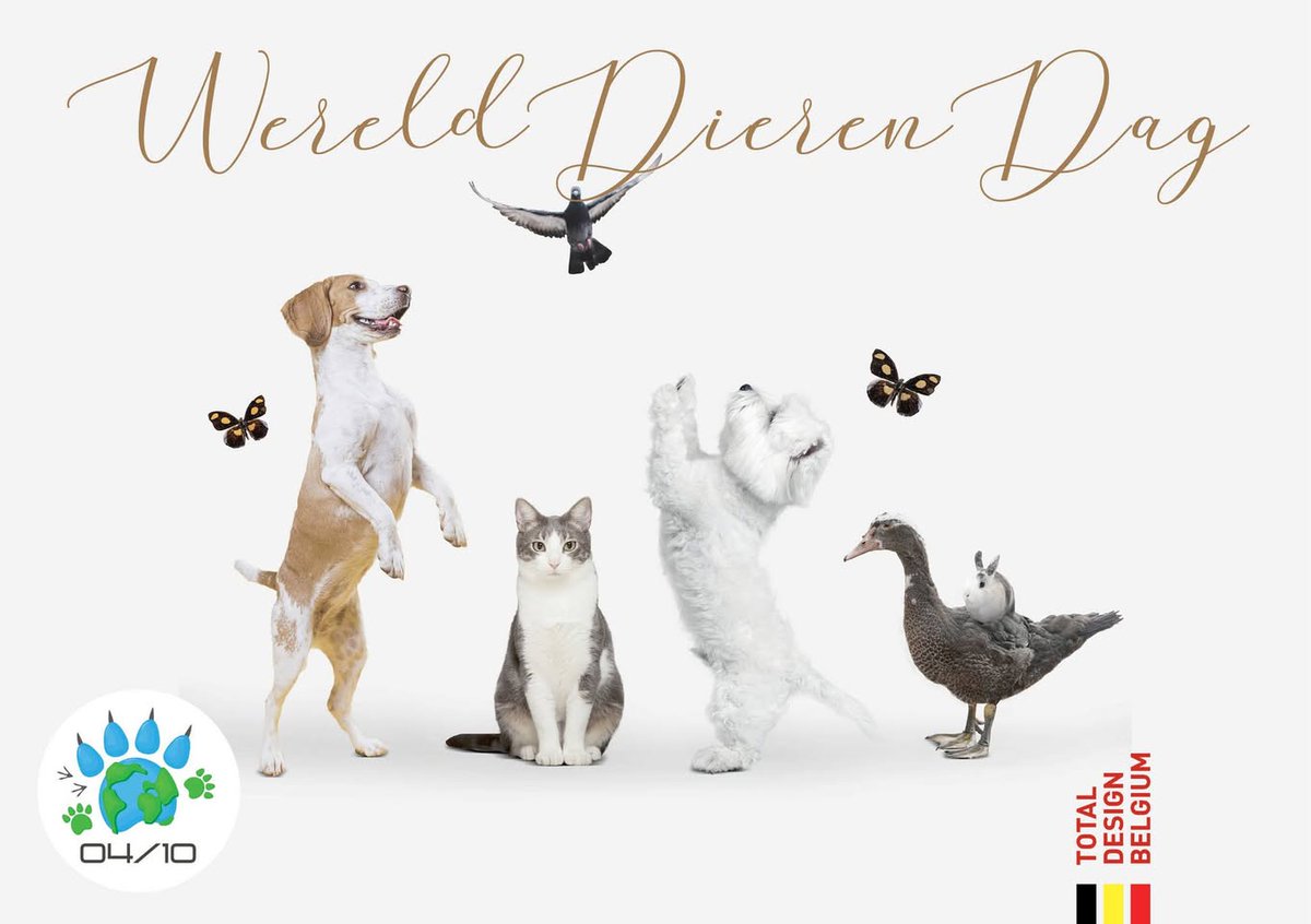 TotalDesignBE's tweet image. Today is World Animal Day!
🐾A beautiful reminder to take a moment for all the big and small animals that make our lives so much brighter.
Give your favorite pet(s) a big hug today 🖤 – they deserve that little extra love!

#werelddierendag #worldanimalday #totaldesignbelgium