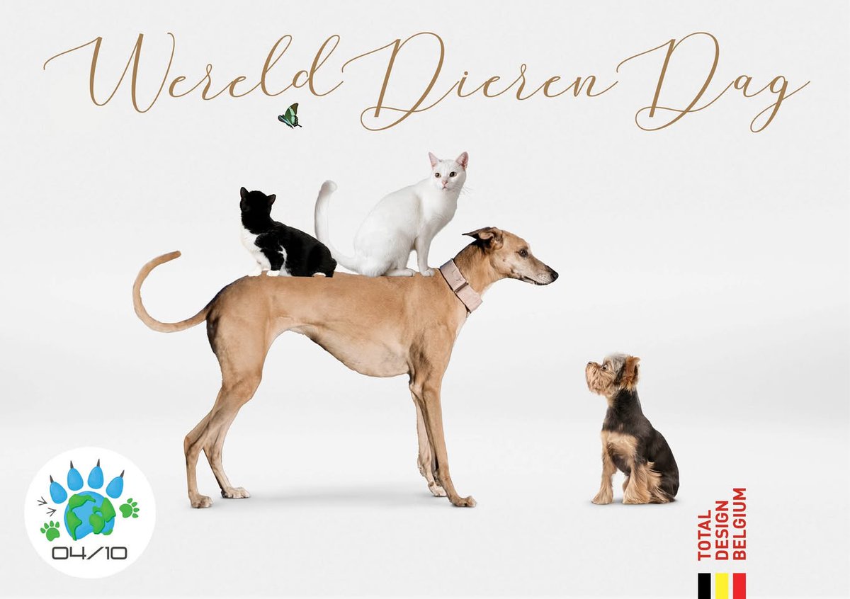 TotalDesignBE's tweet image. Today is World Animal Day!
🐾A beautiful reminder to take a moment for all the big and small animals that make our lives so much brighter.
Give your favorite pet(s) a big hug today 🖤 – they deserve that little extra love!

#werelddierendag #worldanimalday #totaldesignbelgium