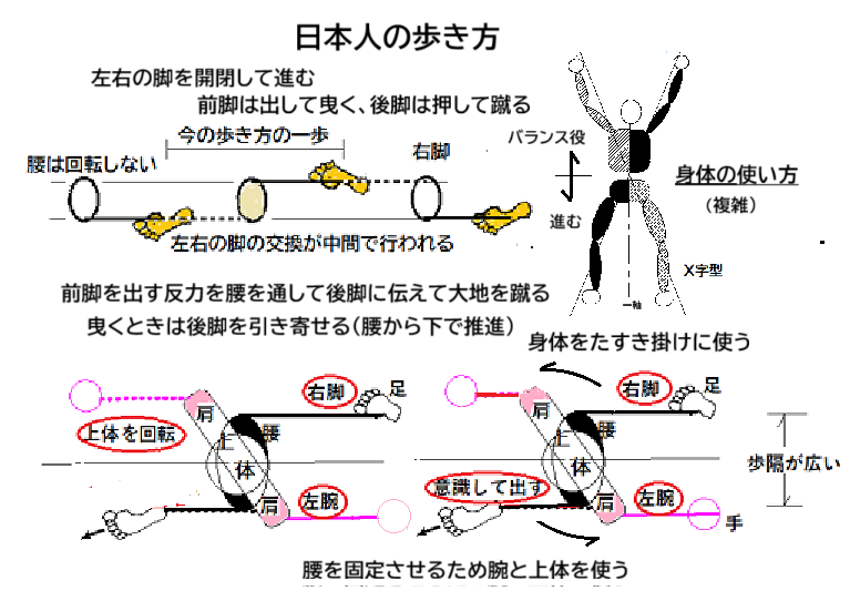 日本人の歩き方をまとめて説明しようしてきましたが、あらためてその複雑さが分かりました。説明しきりませんが、ここに掲示します。やはり、総合的に西洋スポーツには適合しにくいと感じました。スマ歩Jijii