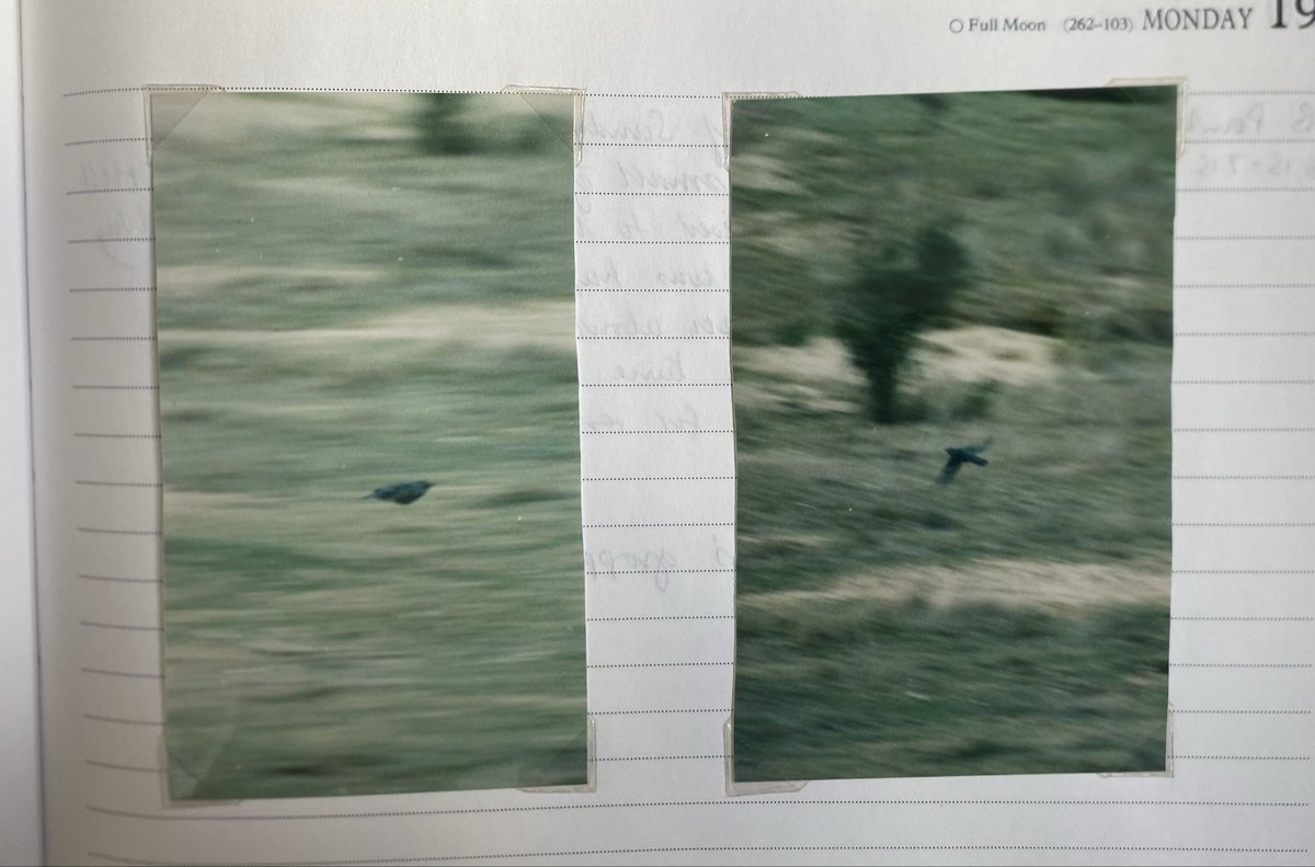 Mick Saunt 🇵🇸 tweet media