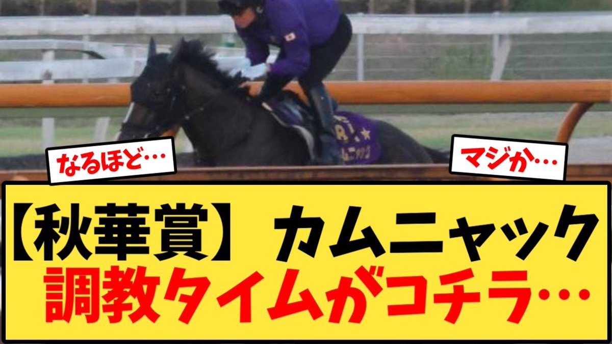 なん j 競馬
