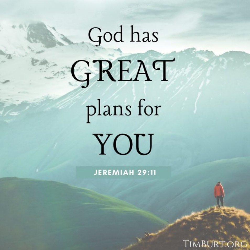 TimBurt's tweet image. 