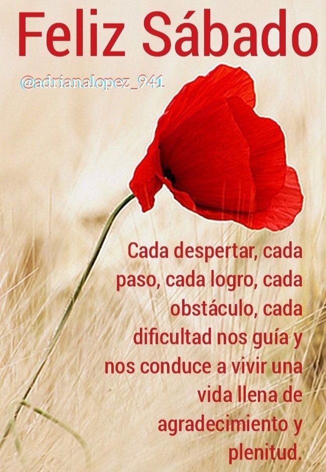 Buen y bendecido día 🍁🙏😘