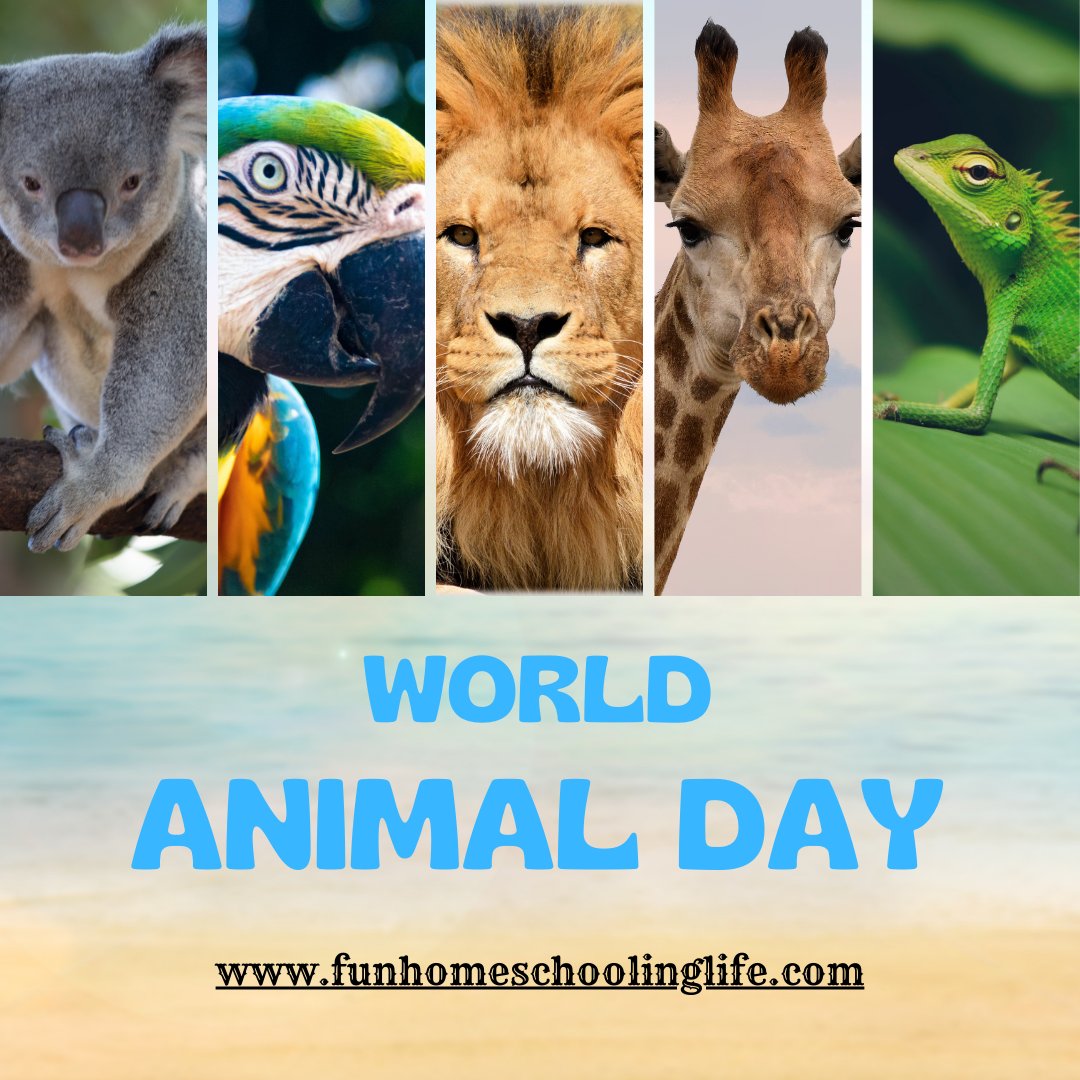 Fun_Homeschool's tweet image. World Animal Day is designed to bring attention to and improve the welfare of animals all over the world. Illegal hunting has put many species on the endangered list. It is also designed to draw attention to the testing and research on animals.
#worldanimalday, #animalday