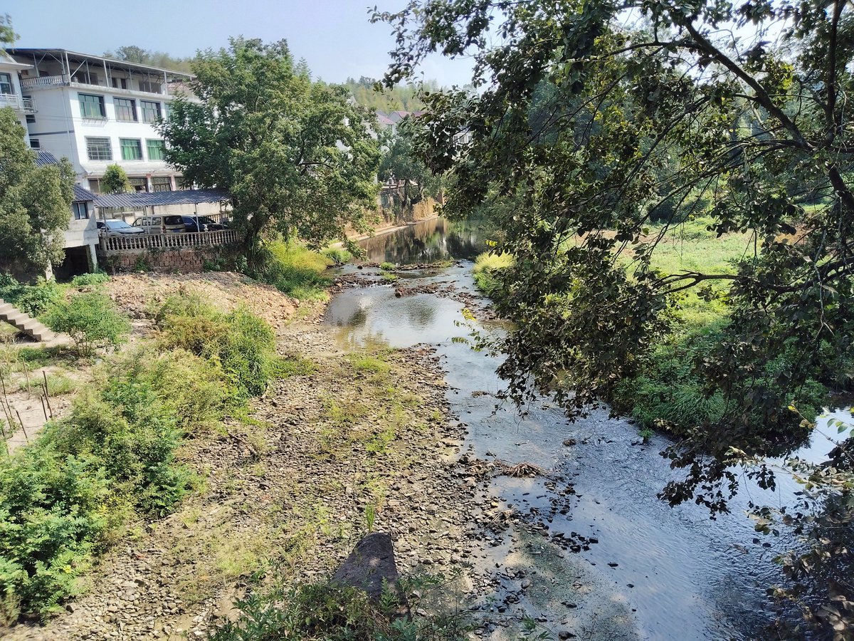 jiyichen8's tweet image. 小时候的河变成小溪门口的小树也长大了，坐在门口等我的外婆也不见了，越来越不想长大了