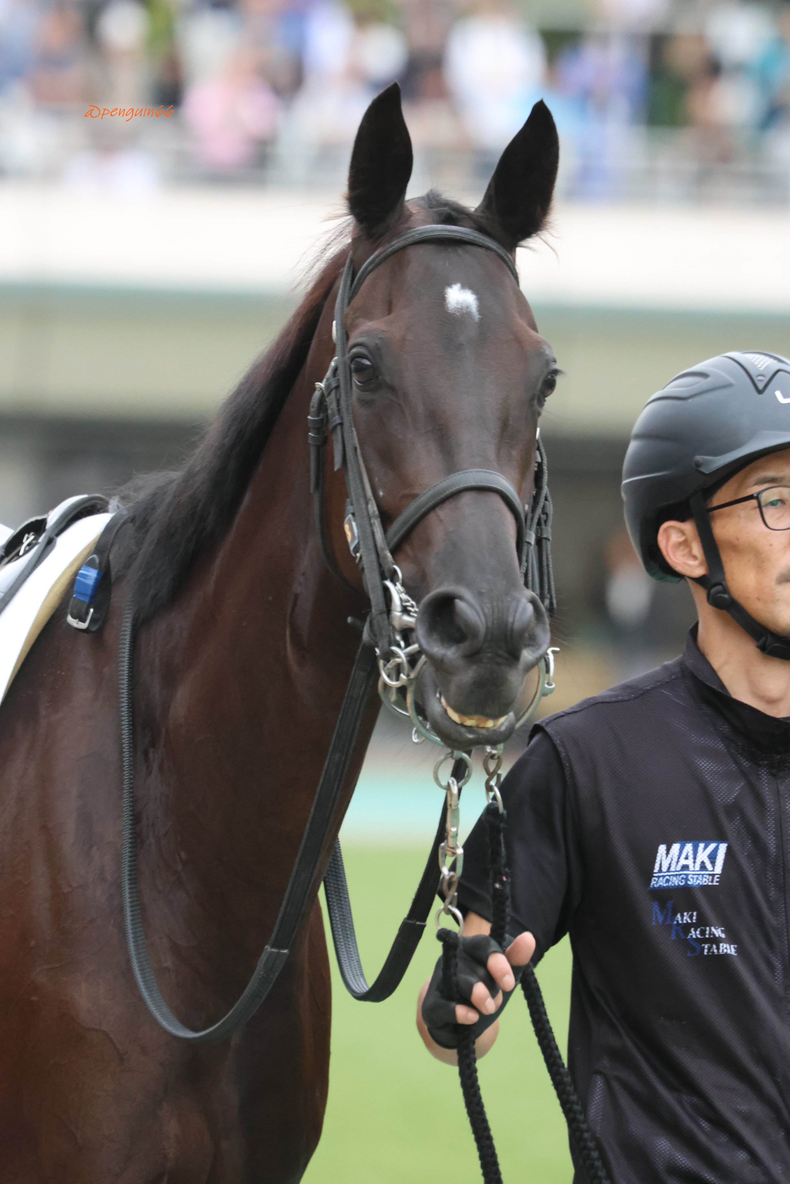 【期限切れ単勝馬券】　サラ系2歳新馬　デュランダル　ウマ娘 期限切れ単勝馬券】 サラ系2歳新馬 デュランダル ウマ娘 バス