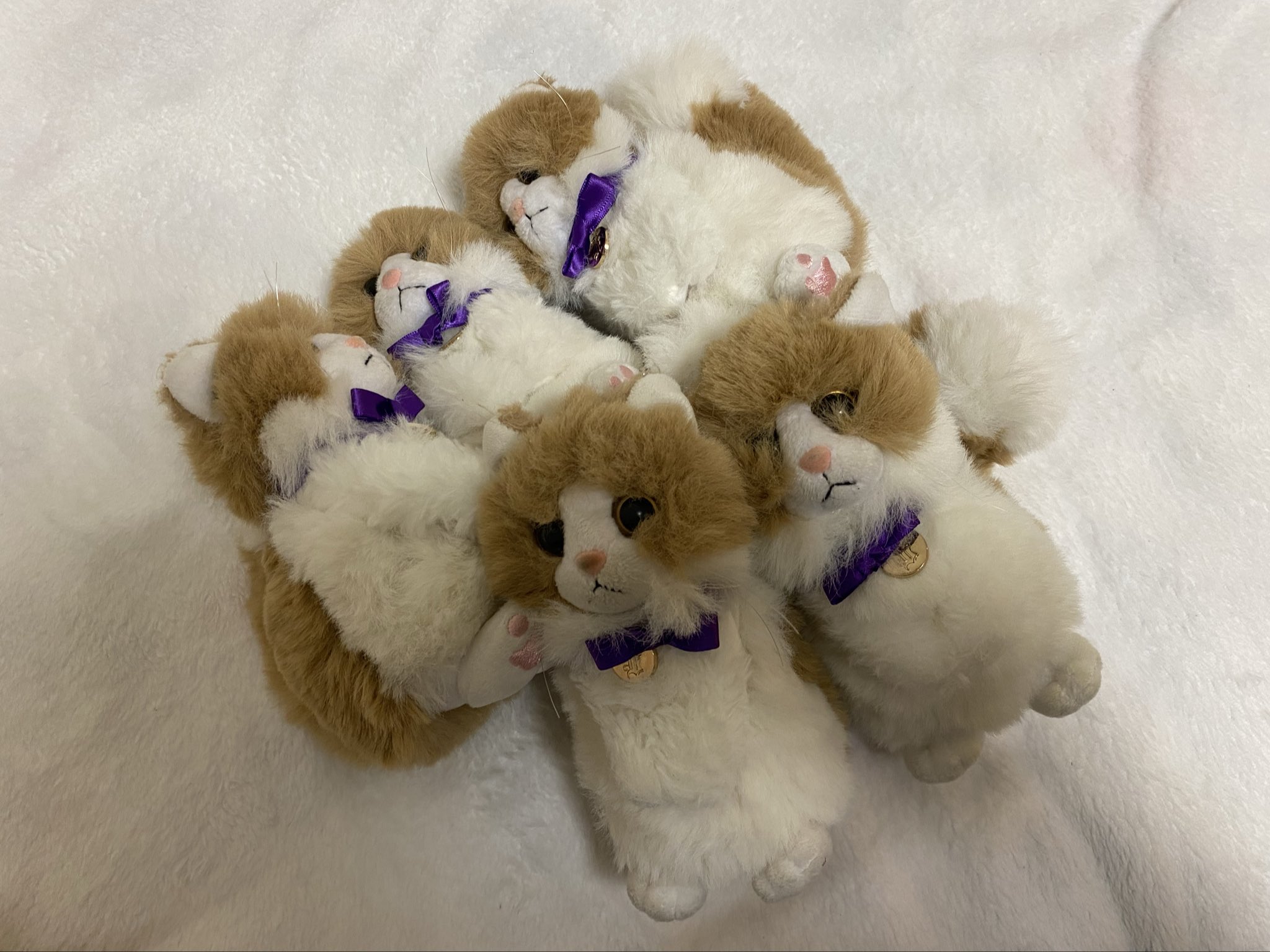 札付き♥️ヒューミリス✕ラウイ♥️変異？ maxresdefault.jpg?sqp=-