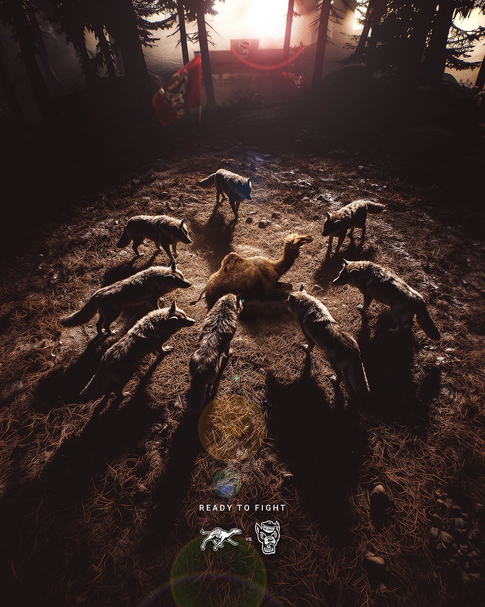 NC State Football tweet media