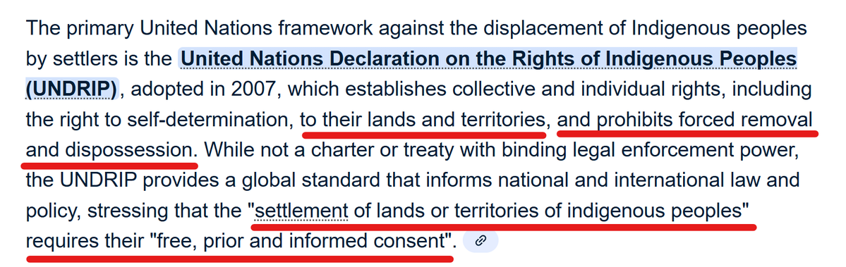 bindon's tweet image. People whose ancestors have lived here for a thousand years should have rights and privileges that exceed those of people who arrived recently, whether legally or not. Even the @UN has said so. It is fine to disagree, but there is nothing immoral about holding this opinion.