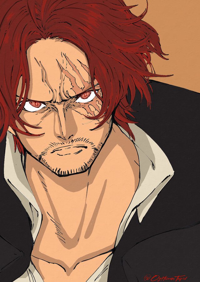 _ZONE_FLUID's tweet photo. Shanks https://t.co/P7tCLgfIv8