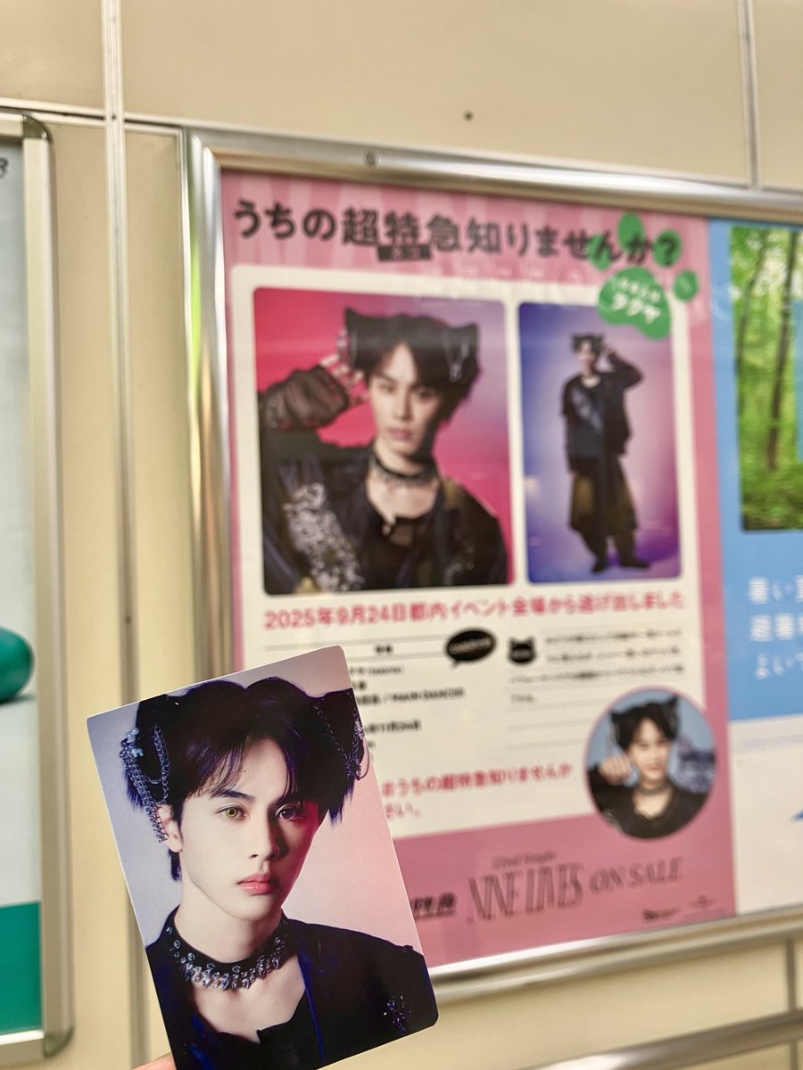 🌹⚜薔薇⚜🌹 on X