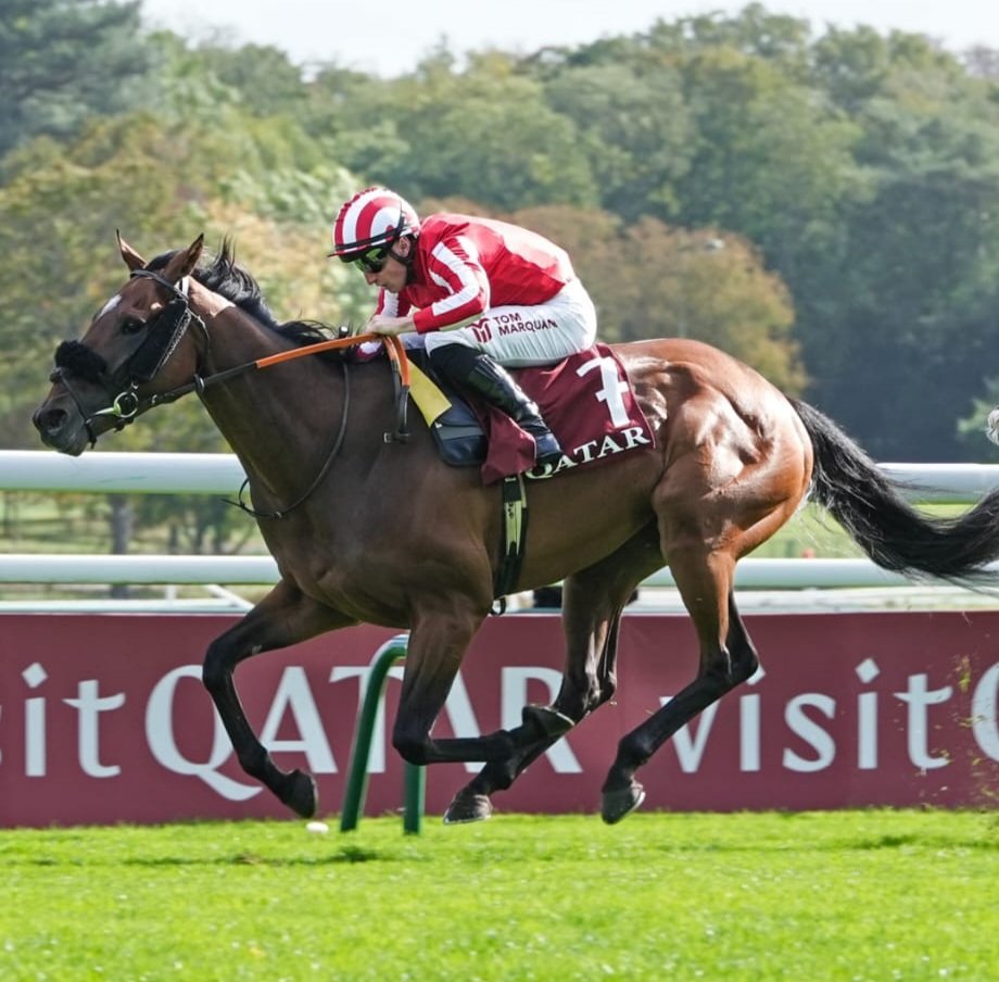 Barouche Stud Ire tweet media