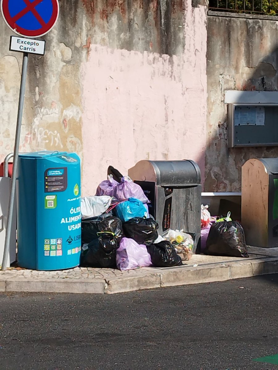 Maria Amélia de Andrade e Pinto de Almeida tweet media