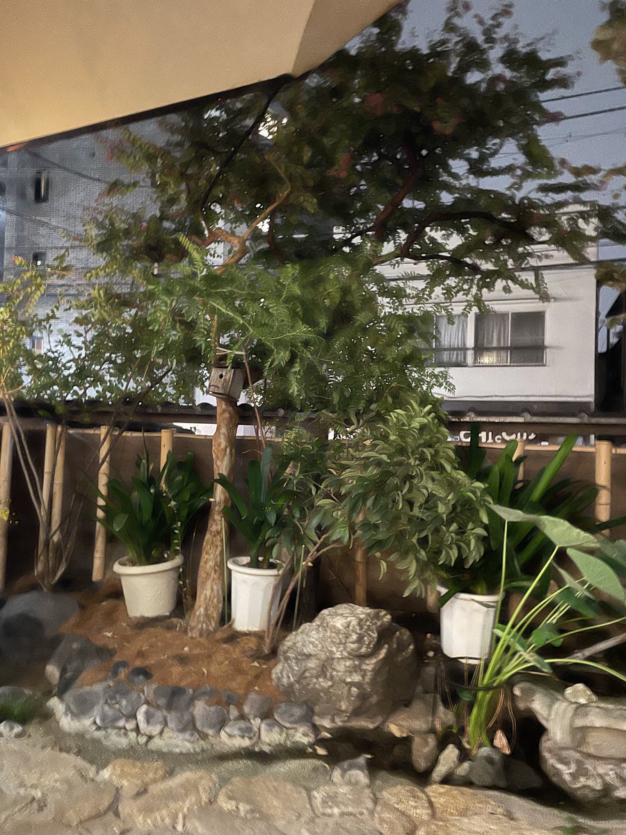 銭湯のある生活♨️

南大沢にも欲しい🫠