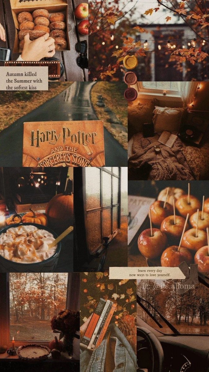 TheDailyHPotter's tweet photo. Autumn days 🍂 https://t.co/AtAmmAGmt3