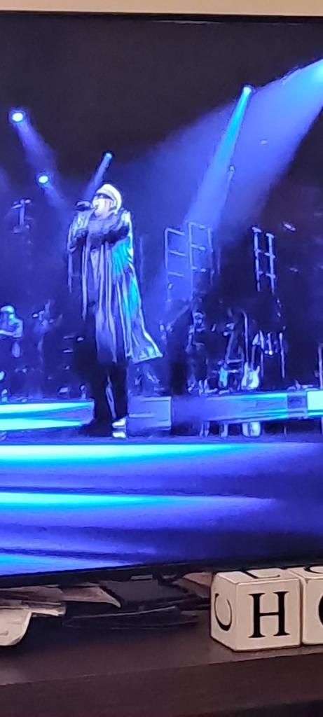 Karrikoira nyt on kova #elämänibiisi