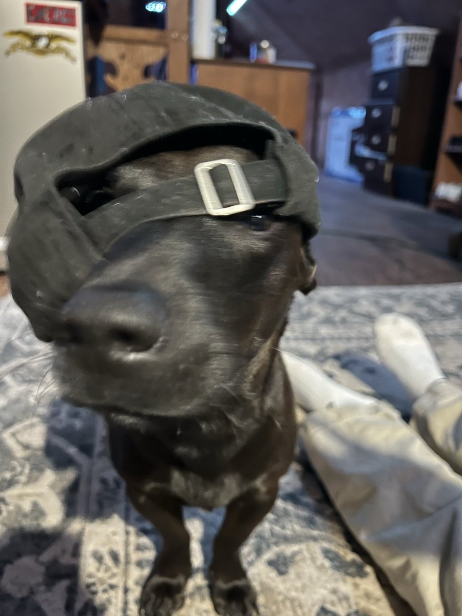 _spectrr's tweet image. I’m so dope boi