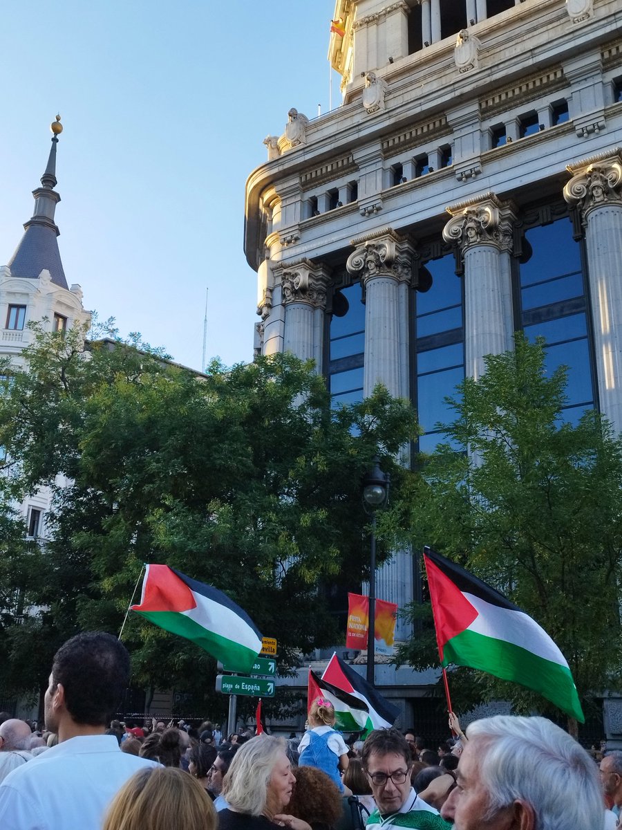 telepili's tweet photo. #FreePalestine 🇵🇸 #manifestacionmadrid https://t.co/kPD5ad4W32
