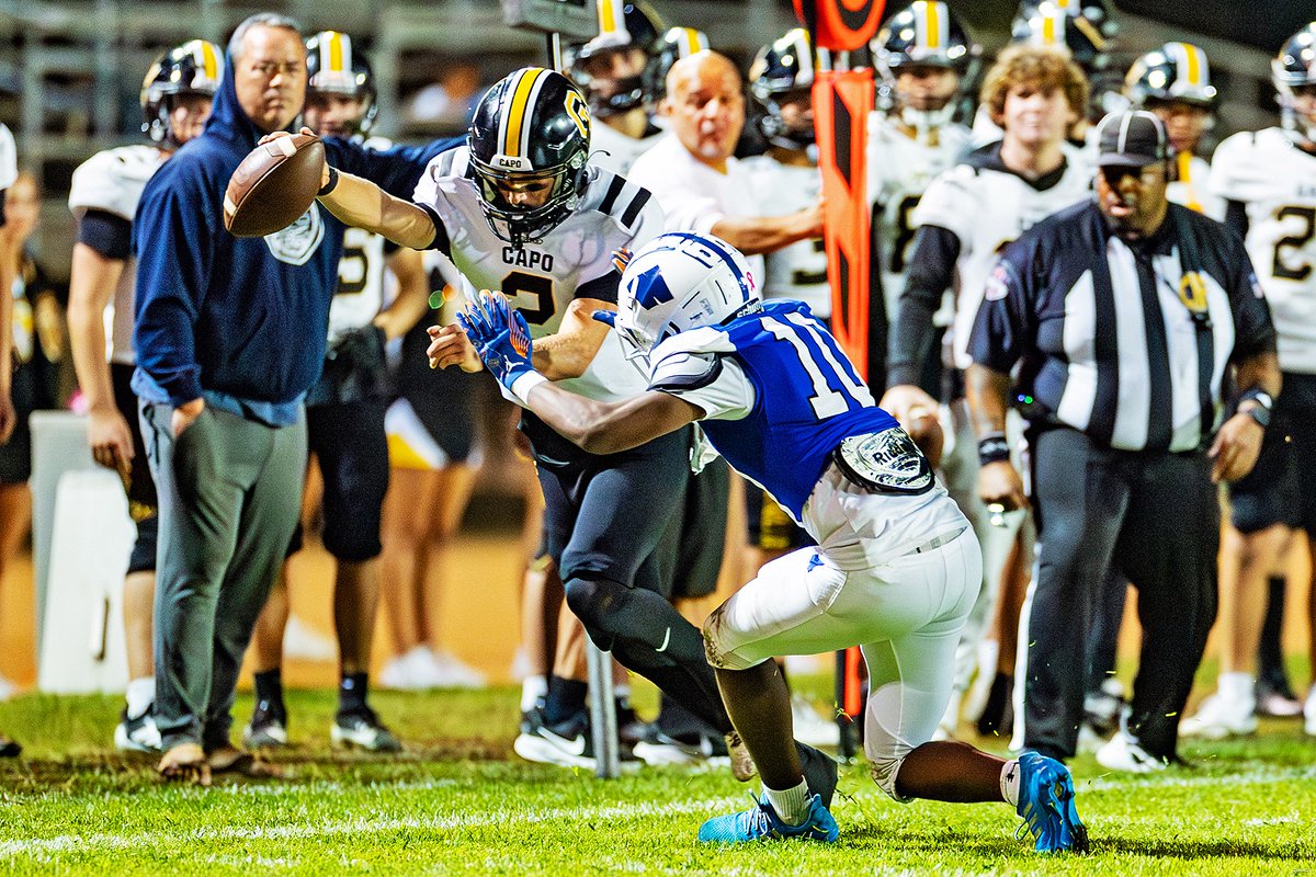 Action Archives tweet media