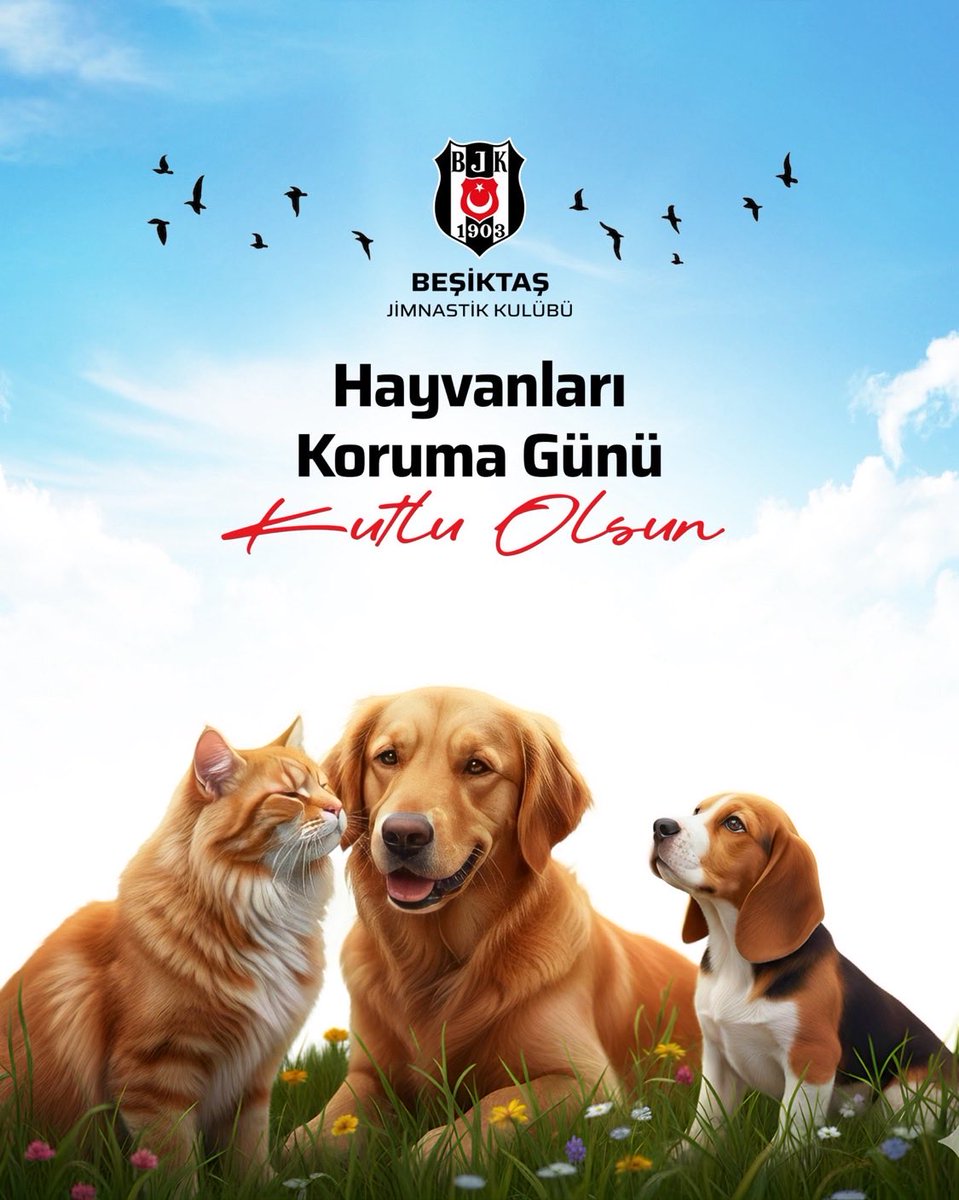 LM (@leycem2) on Twitter photo 